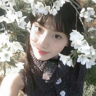 如果历史是一群喵第四季